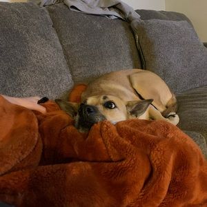 Meet your Posher, Timothy